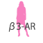 β3-AR