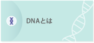 DNAとは